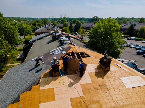 Quick and Trustworthy Emergency Roof Repair Services in Keystone, FL