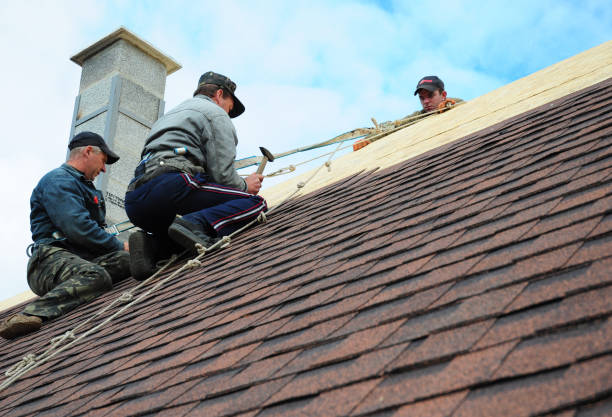 Best Roof Gutter Cleaning  in Keystone, FL